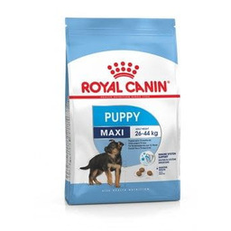 Royal Canin SHN Maxi Puppy - sucha karma