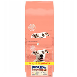 PURINA DOG CHOW SENSITIVE Łosoś 14 + 2,5kg