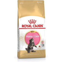 Royal Canin FBN Maine Coon Kitten - sucha