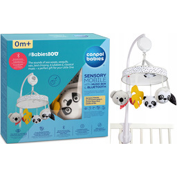 Canpol Sensoryczna karuzela z pozytywką/Bluetooth Babies Boo 68/093