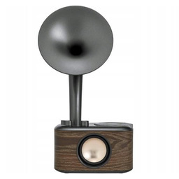 Radioodbiornik Sangean Euphonic 450 WR-45 Czarny