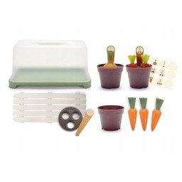 Green Garden Mini szklarnia z roślinami