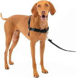 PetSafe Uprząż dla psa Easy Walk.