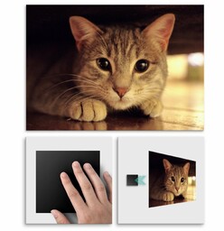 Plakat metalowy kocie oczy L