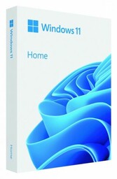 Microsoft Windows 11 Home PL USB Flash Drive
