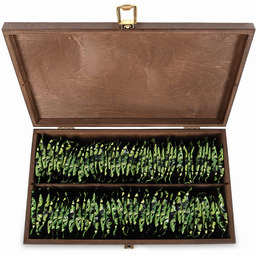 Zestaw herbat w skrzynce lakierowanej 80 sztuk herbaciarka