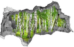naklejka fototapeta 3D widok Brzozowy las