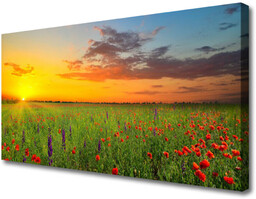 Obraz Canvas Słońce Łąka Kwiaty Natura