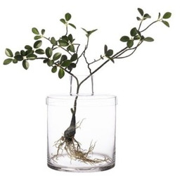 Ernst - Szklany wazon z przykryciem M