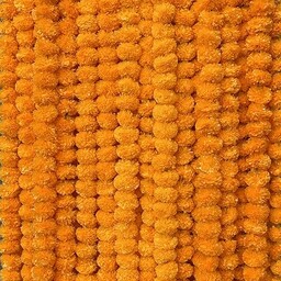 Krati Exports Girlanda z nagietka 1,5 m, indyjska/amerykańska,