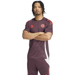 Koszulka adidas FC Bayern Training JSY IS9935 czerwony