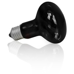 Żarówka Terra Night Heat Black 100W