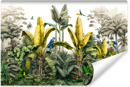 Muralo Fototapeta Las TROPIKALNY Drzewa Bananowe 208x146cm
