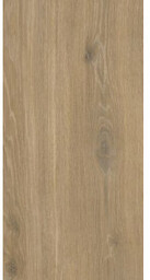 PARADYŻ IDEAL WOOD NATURAL ŚCIANA MAT 30X60 G1