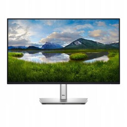 Dell Monitor 24 cale P2425HE Led Ips