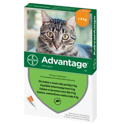 BAYER ADVANTAGE dla kota do 4kg 0,4ml 1