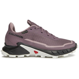Buty do biegania Salomon Alphacross 5 Gtx
