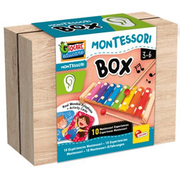 Lisciani, Montessori, Box słuch