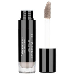 PIERRE RENE_Contour Concealer kryjący korektor w płynie 01