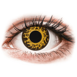CRAZY LENS - Cheetah - jednodniowe korekcyjne (2