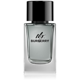 Burberry Mr. Burberry Woda toaletowa 100 ml