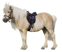 Siodło kompletne Pony, 15,0, 21mm x 110cm