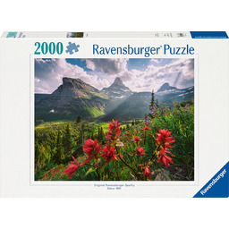 Puzzle 2D Krajobraz 2000 el.