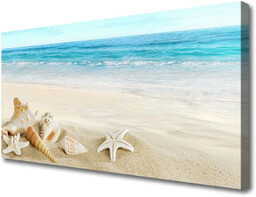 Obraz Canvas Rozgwiazda Muszelki