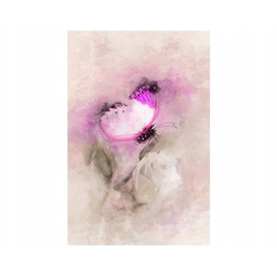 Obraz Rose Butterfly motyl pastelowy księżniczka