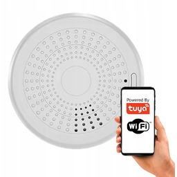 Czujnik Alarm Detektor 2w1 Dual Dymu Co Czadu