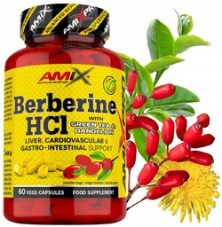 Berberyna HCL 500 mg Mniszek Lekarski Zielona Herbata