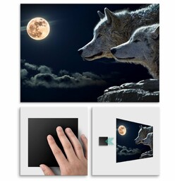 Plakat metalowy wilki w pełni L