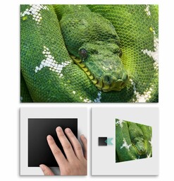 Plakat metalowy pyton L