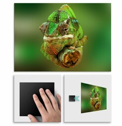 Plakat metalowy kameleon L