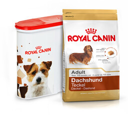 ROYAL CANIN Dachshund Adult 1,5kg