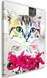 Obraz na płótnie, Abstrakcyjny kot i kształty 40x60