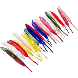 Rayher 8525349 pióro indiańskie, 10,5 cm, worek 24