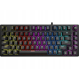 Klawiatura Savio Phenix Gateron Yellow Pro