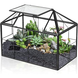 Ferrisland Szklanka terrarium dla roślin powietrznych dom sukulenty