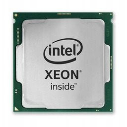 Procesor Intel Xeon E-2324G (8MB, 4x 4.6GHz) CM8070804496015