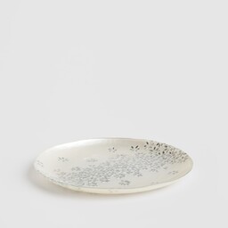 Patera Flosy