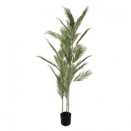 Sztuczna Palma w Doniczce 180 cm Clayre &