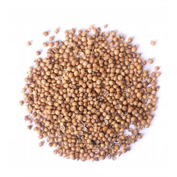 Kolendra ziarno 100g