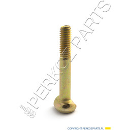 ŚRUBA NEW HOLLAND CASE CNH 87642989 - 80130891