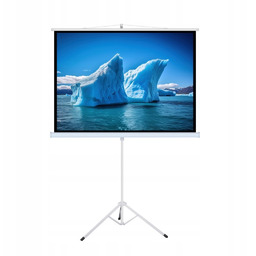 Ekran Ręczny Na Statywie 118" 213x213cm TA-84 1:1