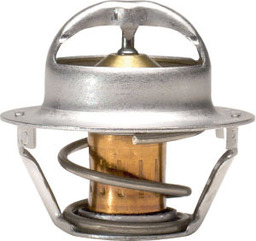 Termostat 13849