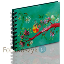 Album Panodia Izou Ptaszek (tradycyjny 30 czarnych stron)