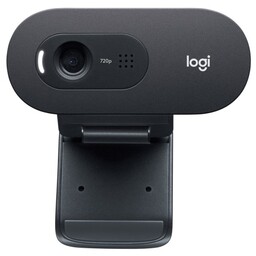 Kamera LOGITECH C505E HD Webcam Black