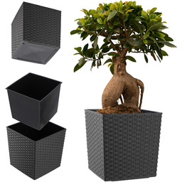 Donica na kwiaty z wkładem rattan 30 cm,