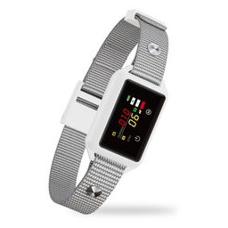 Patpet B800